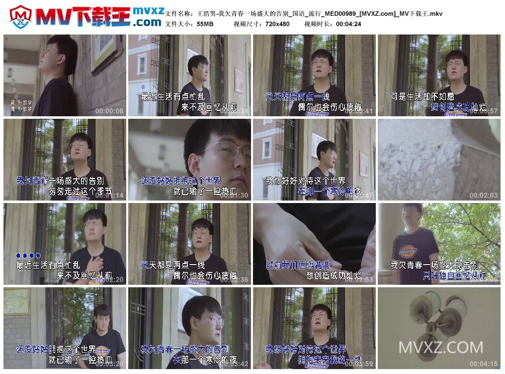 王浩男-我欠青春一场盛大的告别_国语_流行_MED00989